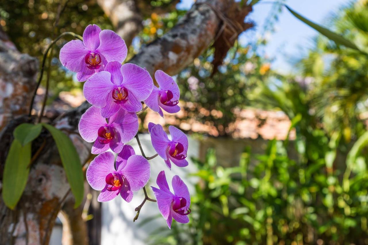 Victor Hugo Pousada Com Natura E L'Occitane Santo André Buitenkant foto