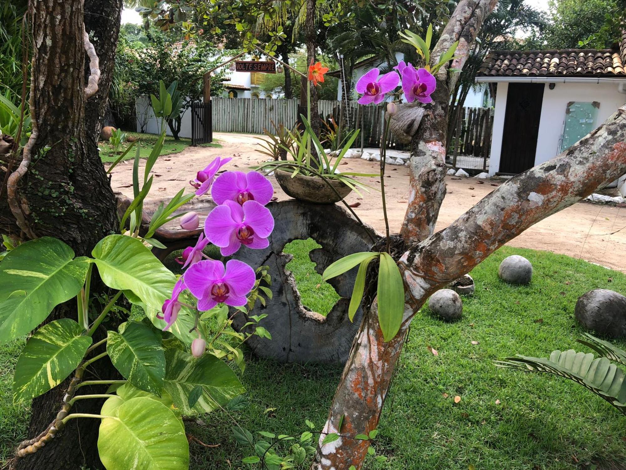 Victor Hugo Pousada Com Natura E L'Occitane Santo André Buitenkant foto